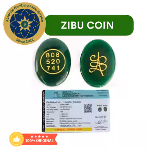 18 ZIBU COIN