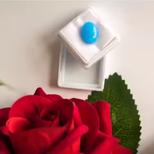 49 फिरोज़ा रत्न (Firoza Stone)